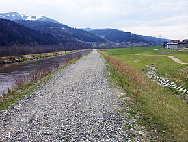 Mit Incomat Crib abgedichter und überwachsener Deich an der Uferseite eines Flusses