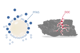 Hohe Kapazitäten durch Ionenaustausch und Adsorption in Tektoseal® Active PFAS