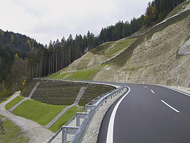 Hangsicherung mit Fortrac Nature an einer Straße