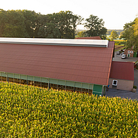  Stallgebäude mit Lichtfirst und Wickellüftung hinter einem Maisfeld