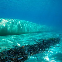 Unterwasseransicht von Buhnen und Wellenbrechern