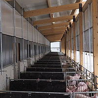 Beidseitige Ausstattung des Schweinestalls mit Lubratec Hubfenstern
