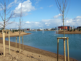 Abgedichtetes und mit Wasser gefülltes Regenrückhaltebecken