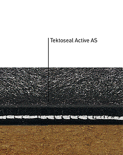 Tektoseal Active AS in Detailansicht