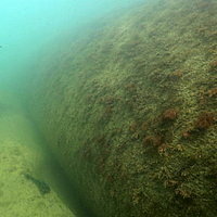 Unterwasseraufnahme besiedelter SoilTain Tubes