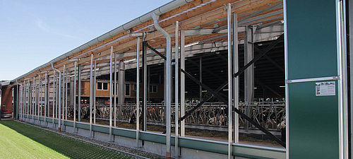 Wickellüftung am Milchviehstall Geöffnete Wickellüftung an einem Milchviehstall